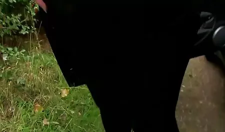 Masajista trae un sexo casero chilango cliente al orgasmo