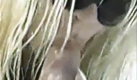 Estudiantes obedientes duermen con Papá Noel videos xxx caseros gay Feliz