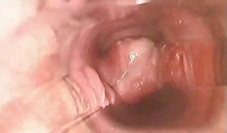 Criada en falda corta inclinándose y hace alarde de anal casero xxx lencería